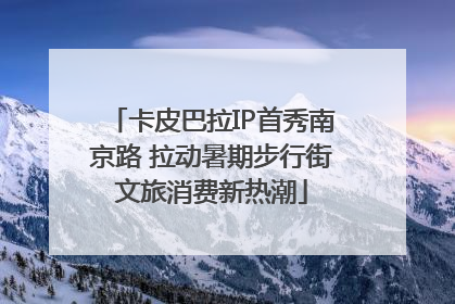 卡皮巴拉IP首秀南京路 拉动暑期步行街文旅消费新热潮