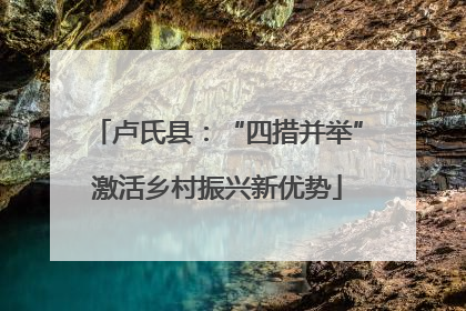 卢氏县：“四措并举”激活乡村振兴新优势