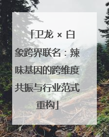 卫龙 × 白象跨界联名：辣味基因的跨维度共振与行业范式重构