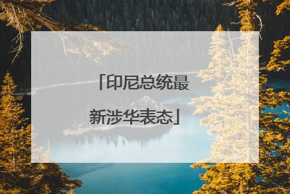 印尼总统最新涉华表态