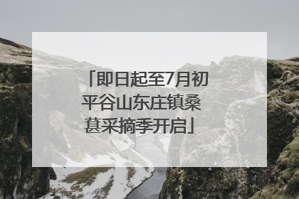 即日起至7月初 平谷山东庄镇桑葚采摘季开启