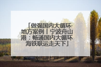 做强国内大循环·地方案例丨宁波舟山港：畅通国内大循环海铁联运走天下