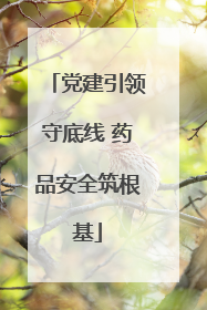 党建引领守底线 药品安全筑根基