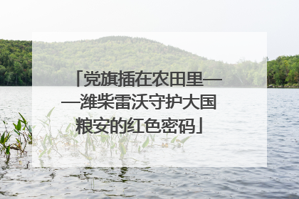 党旗插在农田里——潍柴雷沃守护大国粮安的红色密码