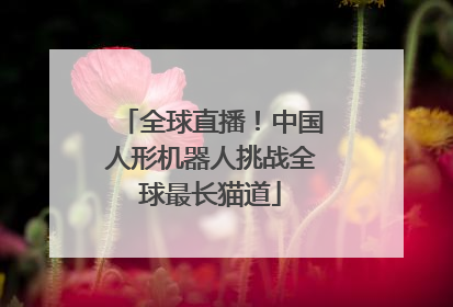 全球直播！中国人形机器人挑战全球最长猫道