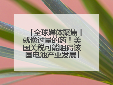 全球媒体聚焦丨就像过量的药！美国关税可能阻碍该国电池产业发展