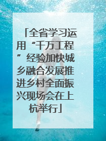 全省学习运用“千万工程”经验加快城乡融合发展推进乡村全面振兴现场会在上杭举行