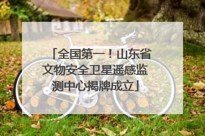 全国第一！山东省文物安全卫星遥感监测中心揭牌成立