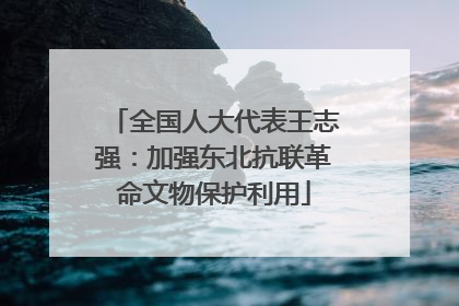 全国人大代表王志强：加强东北抗联革命文物保护利用