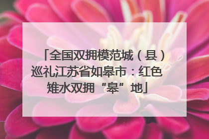全国双拥模范城（县）巡礼江苏省如皋市：红色雉水双拥“皋”地