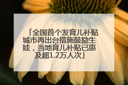 全国首个发育儿补贴城市再出台措施鼓励生娃，当地育儿补贴已惠及超1.2万人次
