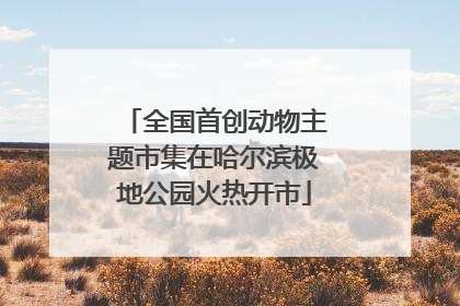 全国首创动物主题市集在哈尔滨极地公园火热开市
