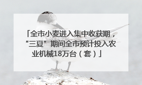 全市小麦进入集中收获期，“三夏”期间全市预计投入农业机械18万台（套）