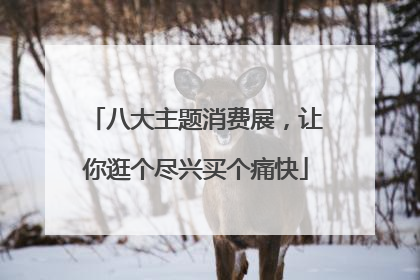 八大主题消费展，让你逛个尽兴买个痛快