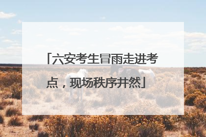 六安考生冒雨走进考点，现场秩序井然