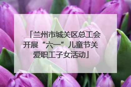 兰州市城关区总工会开展“六一”儿童节关爱职工子女活动