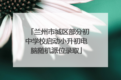 兰州市城区部分初中学校启动小升初电脑随机派位录取
