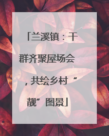兰溪镇：干群齐聚屋场会，共绘乡村“靓”图景