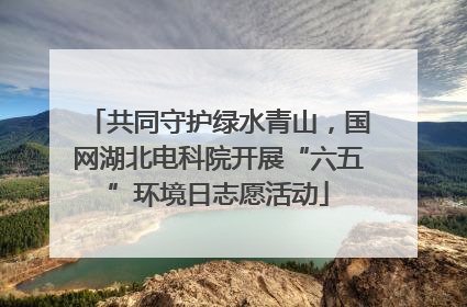 共同守护绿水青山，国网湖北电科院开展“六五”环境日志愿活动