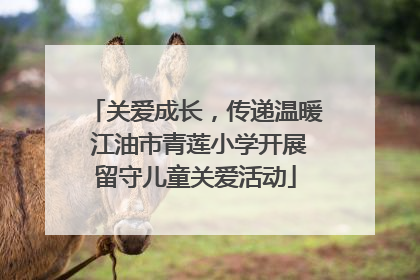 关爱成长，传递温暖 江油市青莲小学开展留守儿童关爱活动