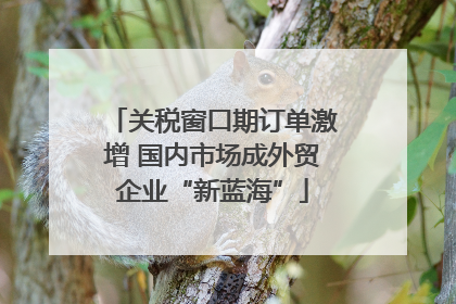 关税窗口期订单激增 国内市场成外贸企业“新蓝海”