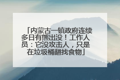 内蒙古一镇政府连续多日有熊出没！工作人员：它没攻击人，只是在垃圾桶翻找食物