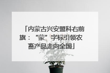 内蒙古兴安盟科右前旗：“蒙”字标引领农畜产品走向全国