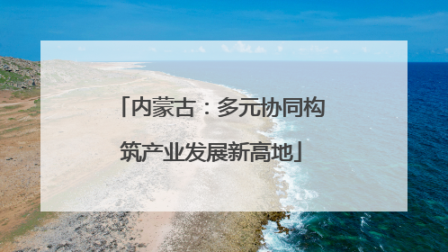 内蒙古：多元协同构筑产业发展新高地
