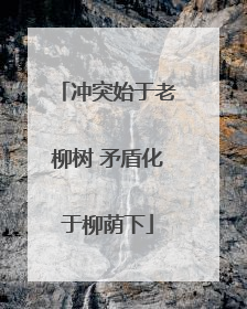 冲突始于老柳树 矛盾化于柳荫下
