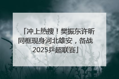 冲上热搜！樊振东许昕同框现身河北雄安，备战2025乒超联赛