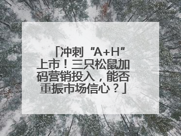 冲刺“A+H”上市！三只松鼠加码营销投入，能否重振市场信心？