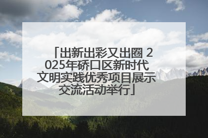 出新出彩又出圈 2025年硚口区新时代文明实践优秀项目展示交流活动举行