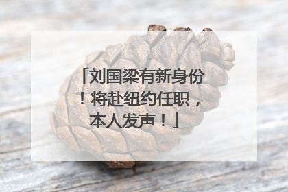 刘国梁有新身份！将赴纽约任职，本人发声！