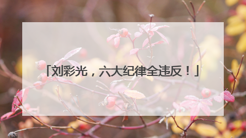 刘彩光，六大纪律全违反！