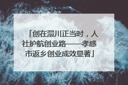 创在澴川正当时，人社护航创业路——孝感市返乡创业成效显著