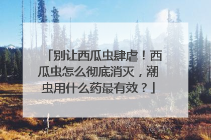 别让西瓜虫肆虐！西瓜虫怎么彻底消灭，潮虫用什么药最有效？
