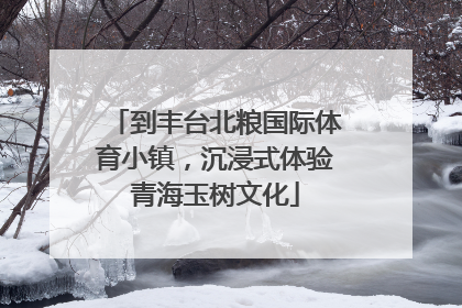 到丰台北粮国际体育小镇，沉浸式体验青海玉树文化