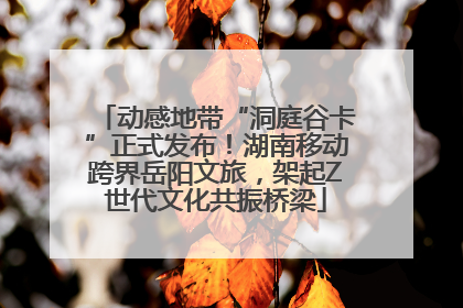 动感地带“洞庭谷卡”正式发布！湖南移动跨界岳阳文旅，架起Z世代文化共振桥梁