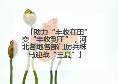 助力“丰收在田”变“丰收到手”，河北各地各部门厉兵秣马迎战“三夏”