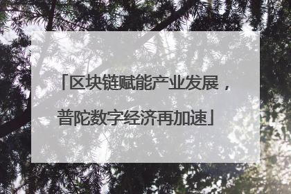 区块链赋能产业发展，普陀数字经济再加速