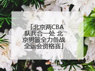 北京两CBA队兵合一处 北京男篮全力备战全运会资格赛