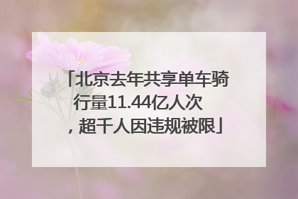 北京去年共享单车骑行量11.44亿人次，超千人因违规被限