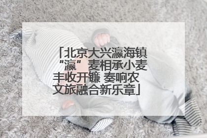 北京大兴瀛海镇“瀛”麦相承小麦丰收开镰 奏响农文旅融合新乐章
