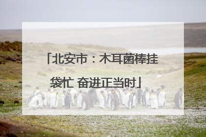 北安市：木耳菌棒挂袋忙 奋进正当时