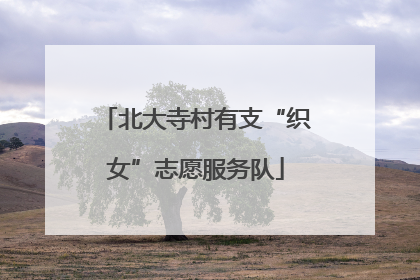 北大寺村有支“织女”志愿服务队