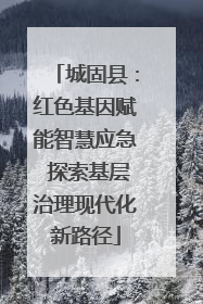 城固县：红色基因赋能智慧应急 探索基层治理现代化新路径