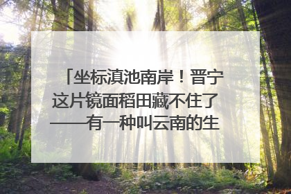 坐标滇池南岸！晋宁这片镜面稻田藏不住了——有一种叫云南的生活之365天