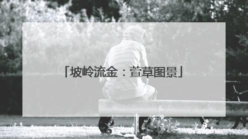 坡岭流金：萱草图景