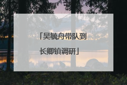 吴毓舟带队到长卿镇调研
