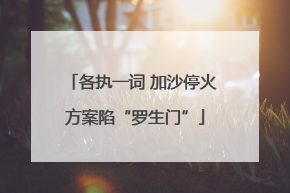 各执一词 加沙停火方案陷“罗生门”